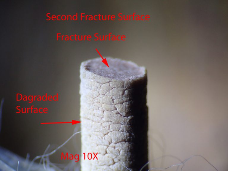 Bungee Cord Failure Analysis Read Consulting