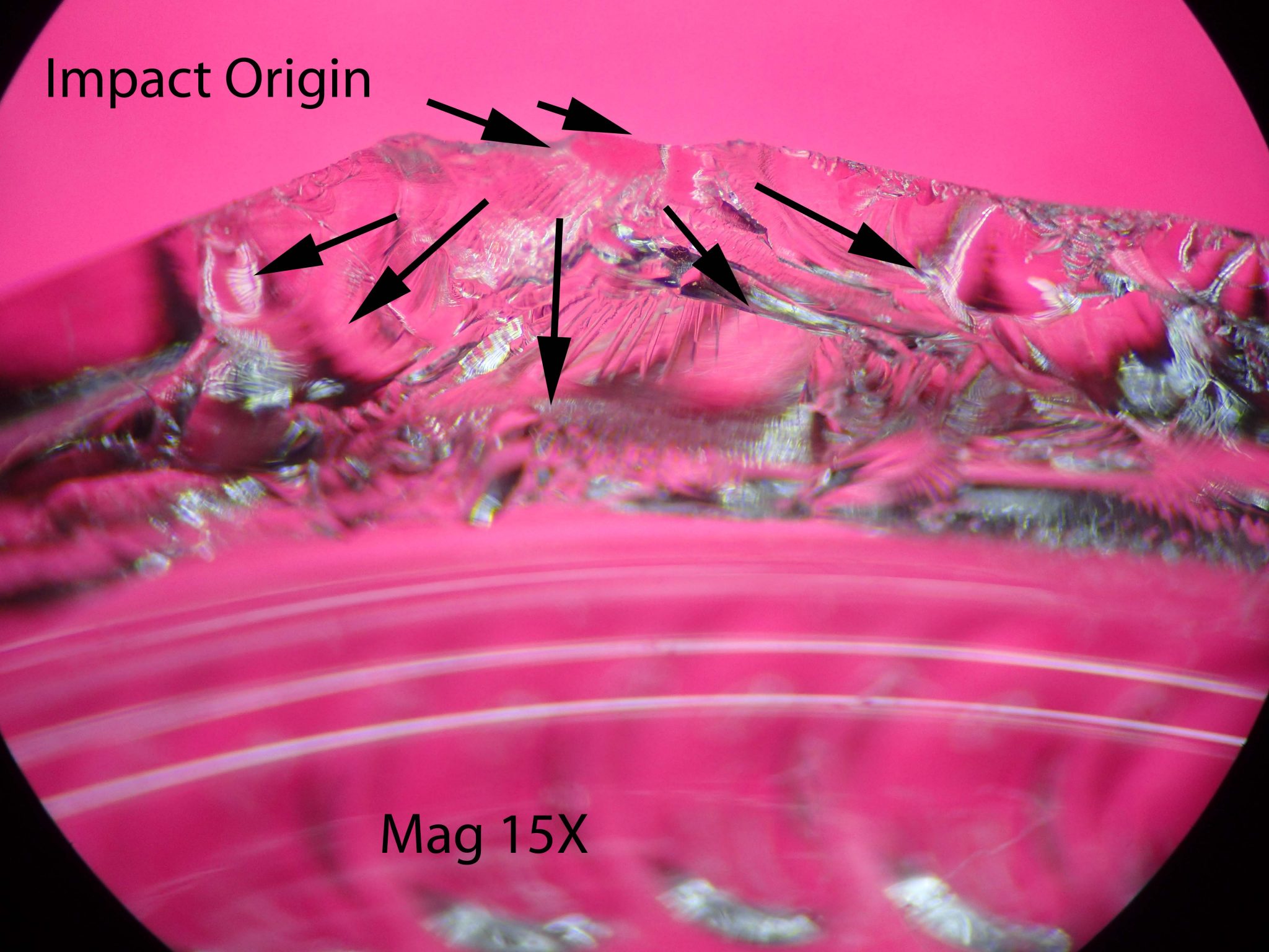 Glass Bottle Failure Analysis An Exploding Beer Bottle Read Consulting